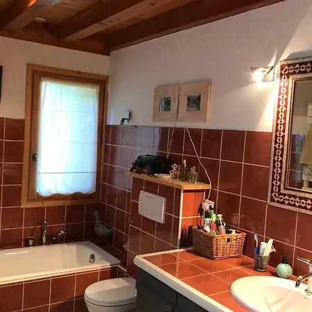Beautiful quiet chalet with Jacuzzi Chalet Chamonix