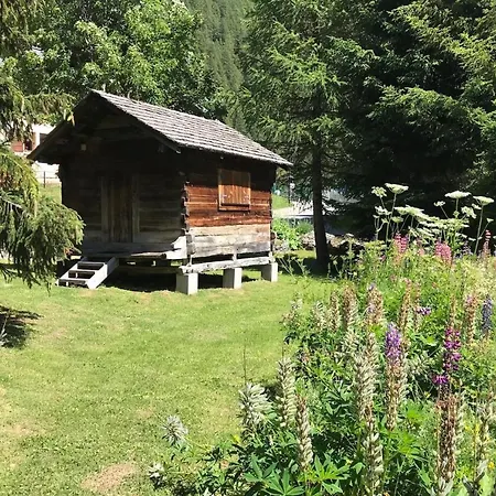Chalet Beautiful quiet chalet with Jacuzzi Chamonix